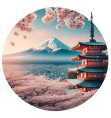 Cliente satisfecho en Japón